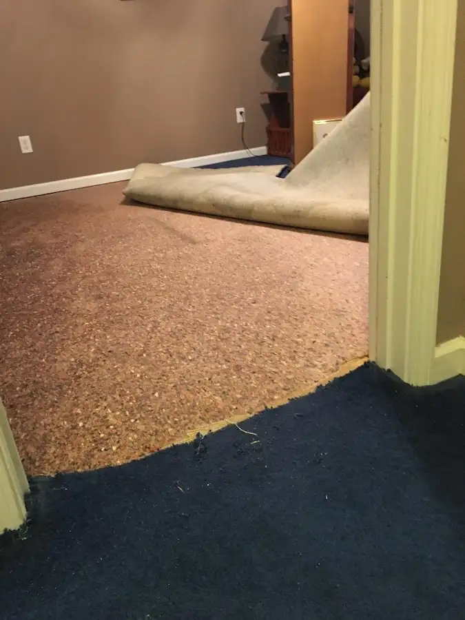 Carpet pad removal revealing water damage during Drying & Dehumidification in Sweden