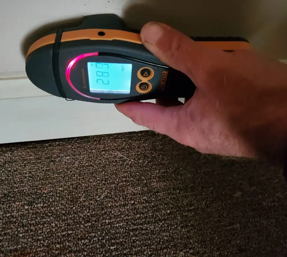 Moisture detection at baseboard during Sewage Cleanup & Sanitation in Sweden